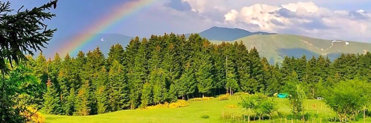 EmintekinE's profile banner image