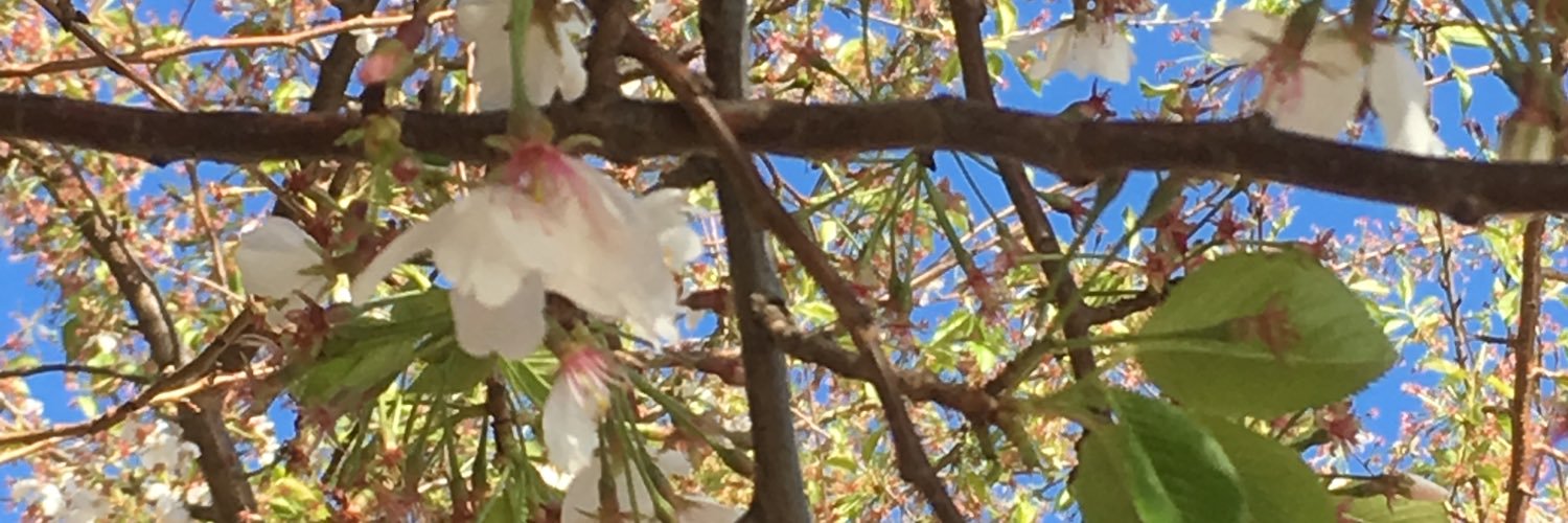 smhuts's profile banner image