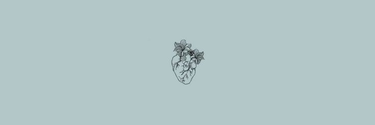 SoSofins's profile banner image