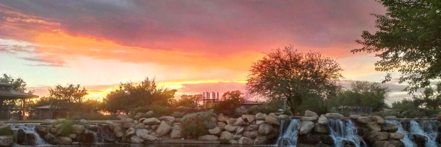 renepatton's profile banner image