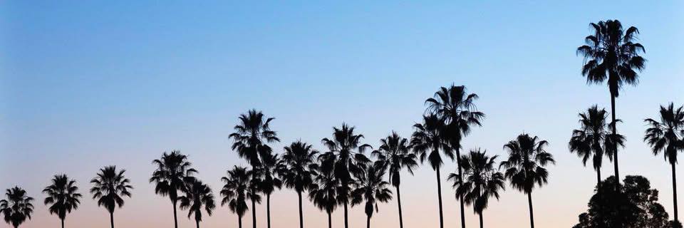 nairisha_'s profile banner image