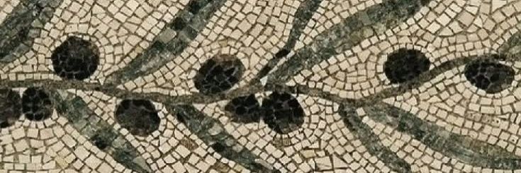 ¡hola!soyfatos🪶 banner