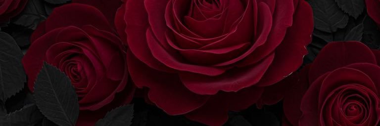 manhattanblack banner