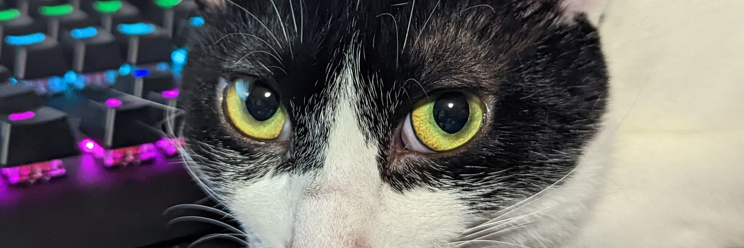 genkimer's profile banner image
