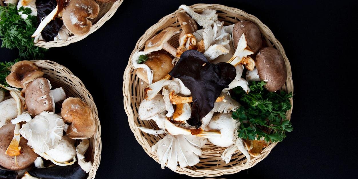 Jennifer Chong banner