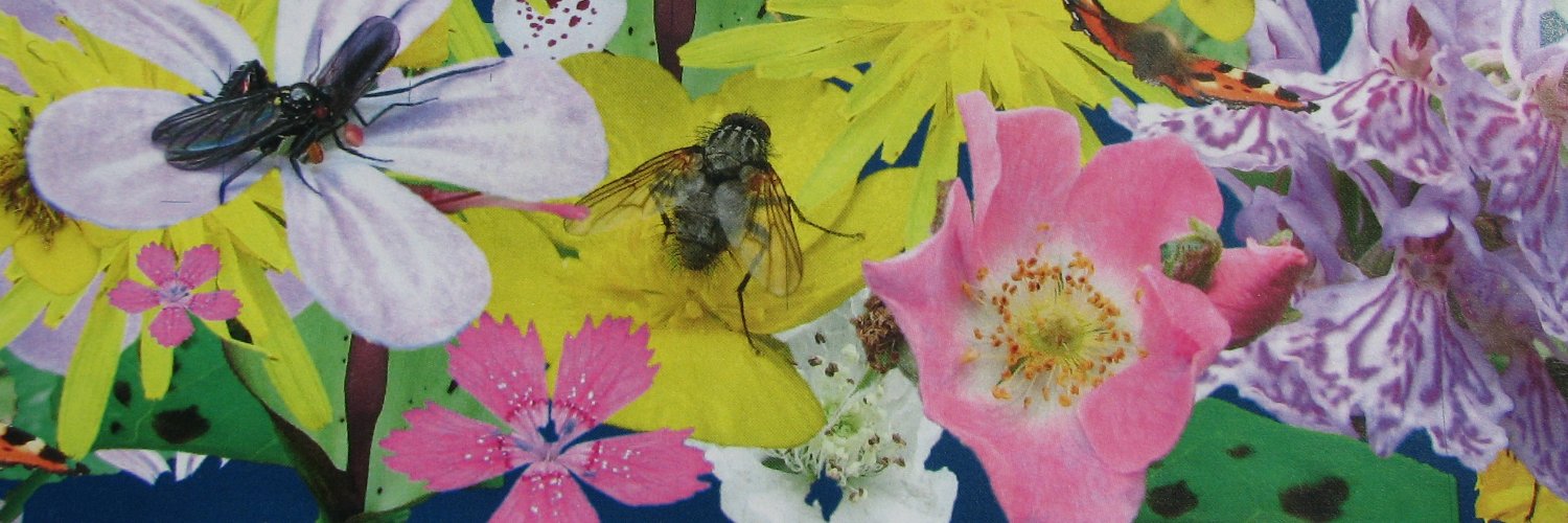 FloraConsUK's profile banner image