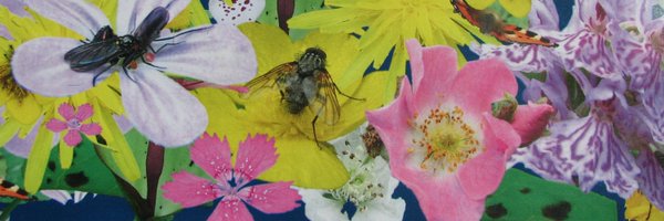 FloraConsUK Profile Banner