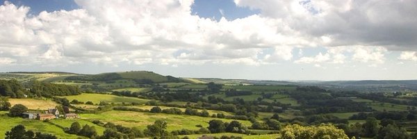 BVDairy Profile Banner