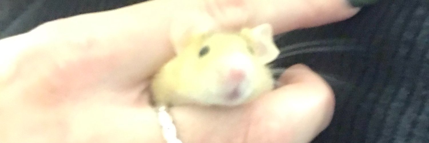 deadpigeon5's profile banner image