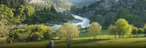 Pyrenees_Orient's profile banner image