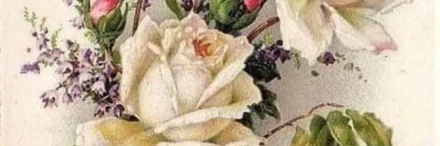 Dilek Comert banner