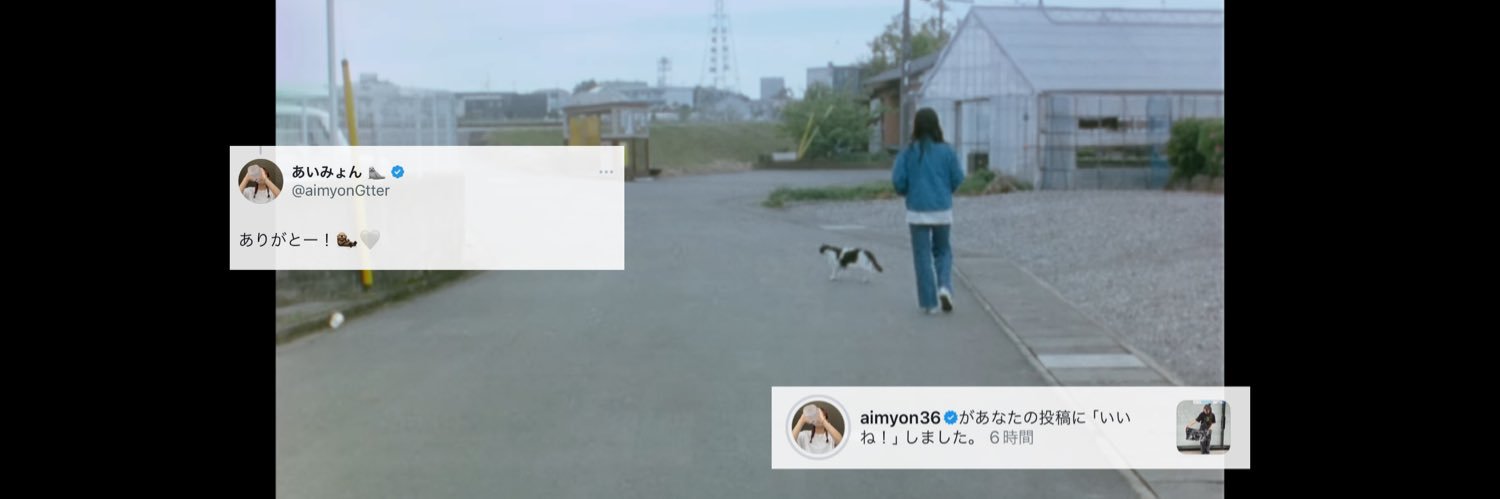 いめいめ。 banner
