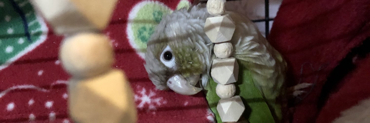 anjosyui's profile banner image