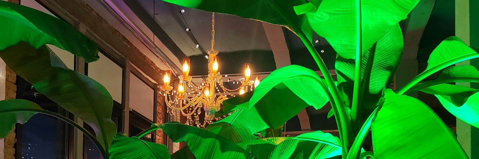 bisoux's profile banner image