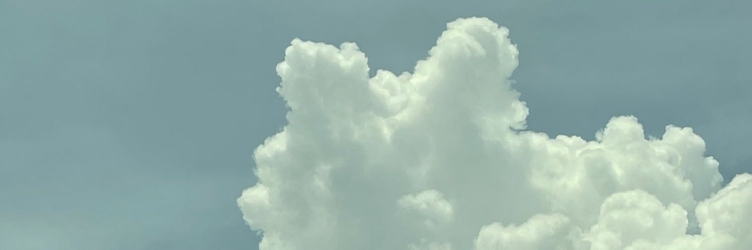 berubystudio's profile banner image