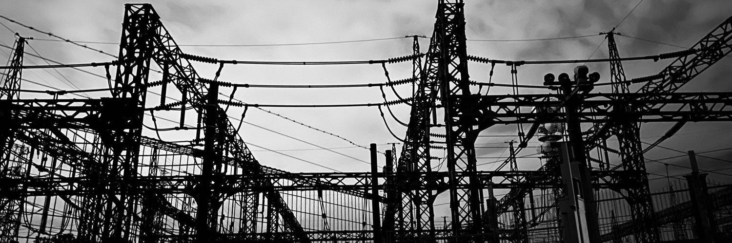 ヤモリスター☢️ banner