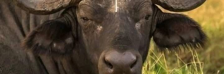 MRA00700700's profile banner image