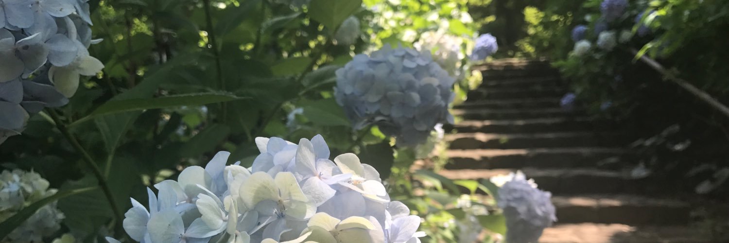 rwk4517's profile banner image
