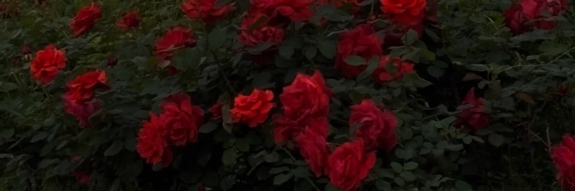j1changmin's profile banner image