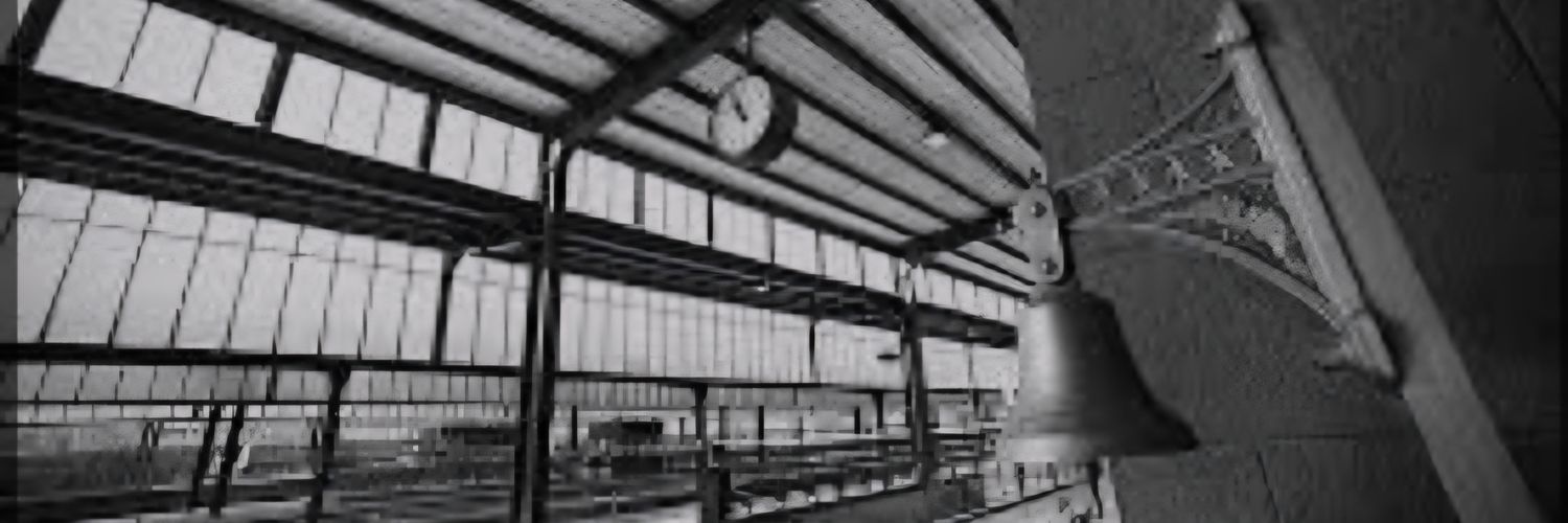 Hülya Özcan banner