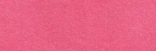 SSAVAGESLUT's profile banner image