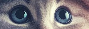 m_arponce's profile banner image