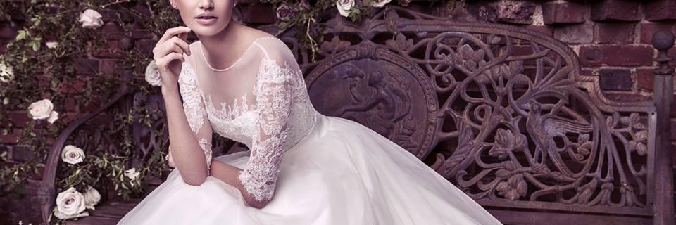 aandforever's profile banner image