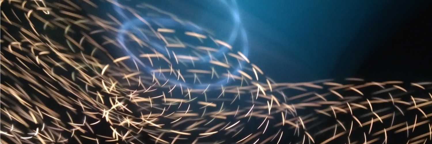SwissDisk's profile banner image