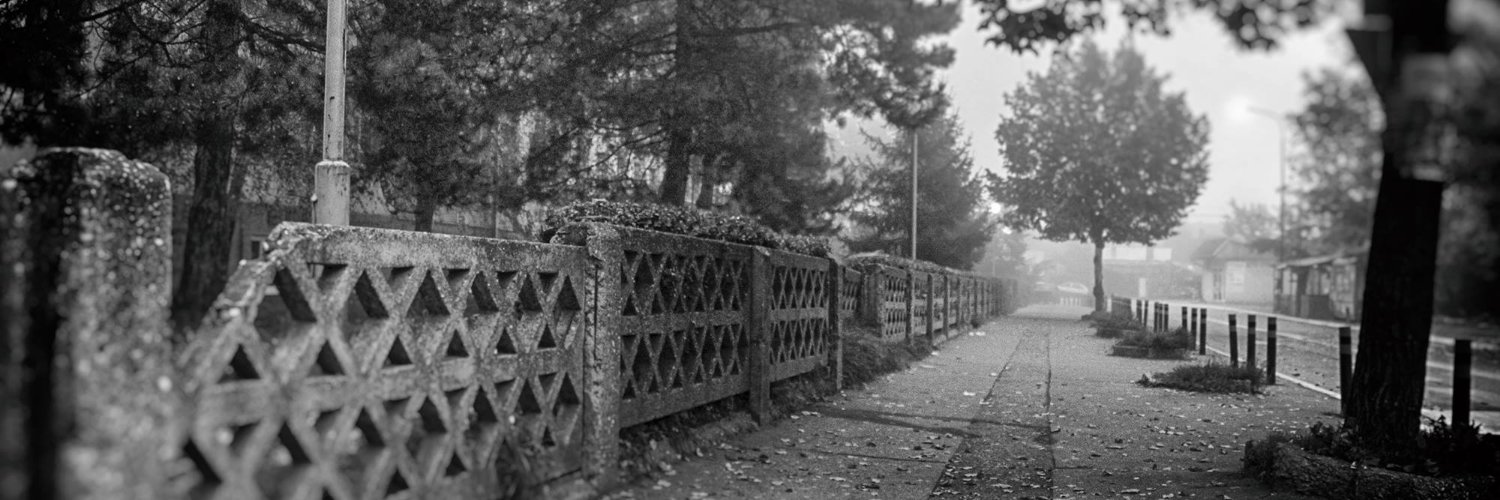 Ivan Maksimovic banner