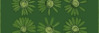 salmadirect's profile banner image