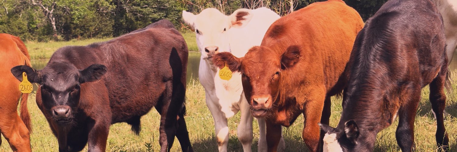 Mike | Oklahoma Rancher banner