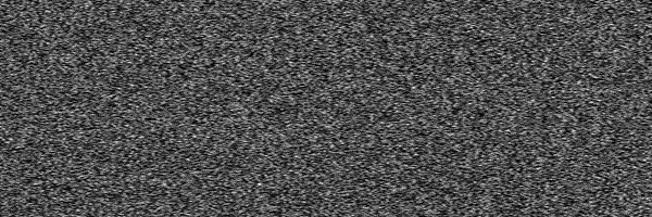 CTRainquest Profile Banner