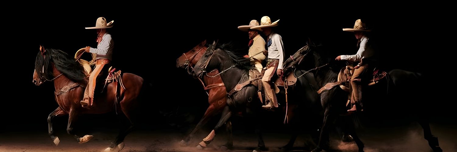 Saúl Schmidt banner