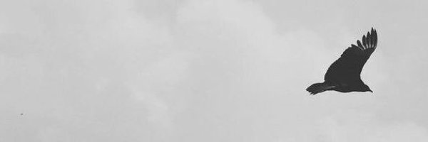 prntssallalong Profile Banner
