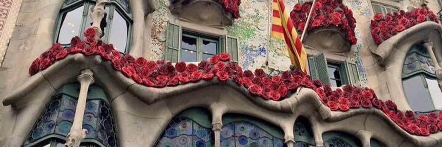 indignat48 banner