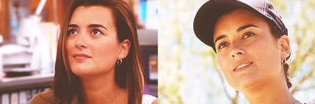 Em (Cote de Pablo fan) banner