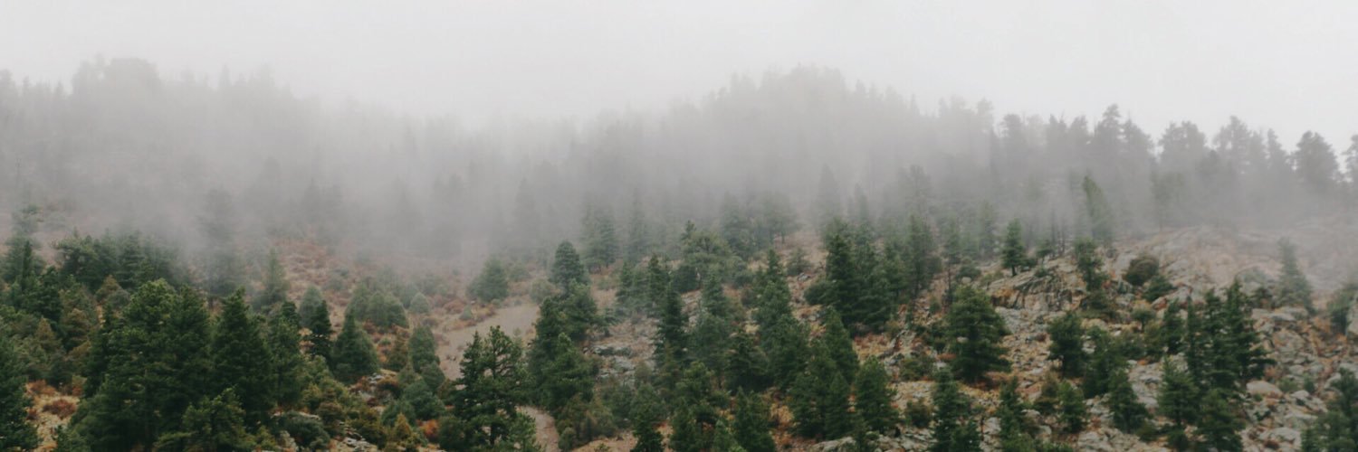 ArmbarPapi's profile banner image