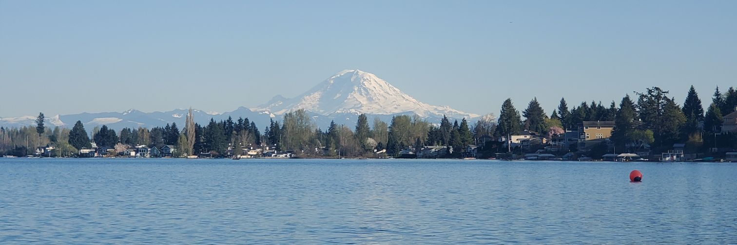 I've Seen Enough. Impeach. banner