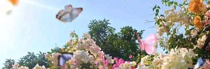 juddyguzman's profile banner image
