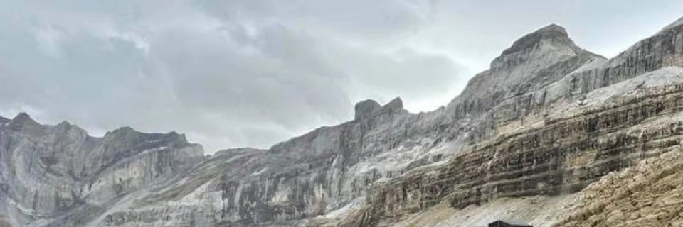 HelpfindPattie banner