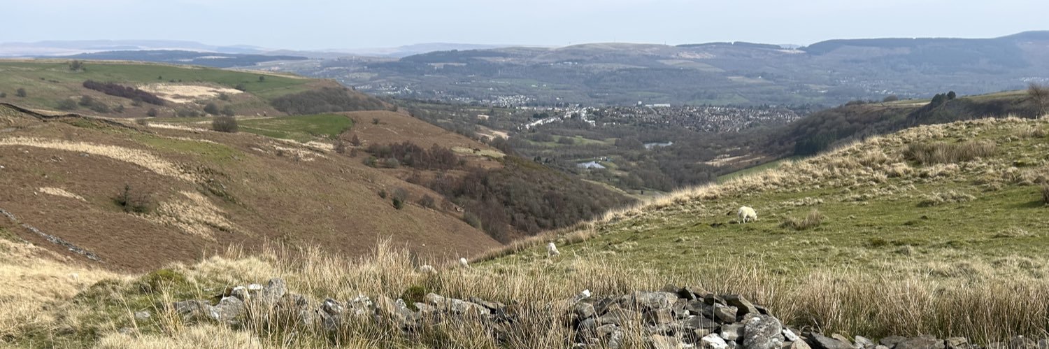 bexterminate 🐌 banner