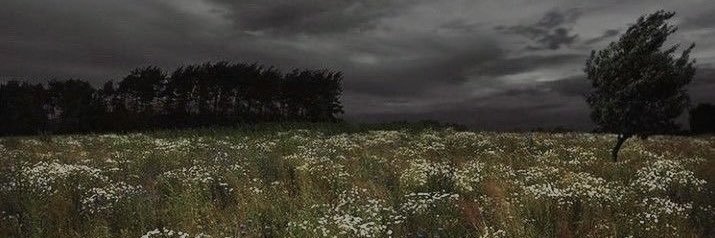 zoienator's profile banner image