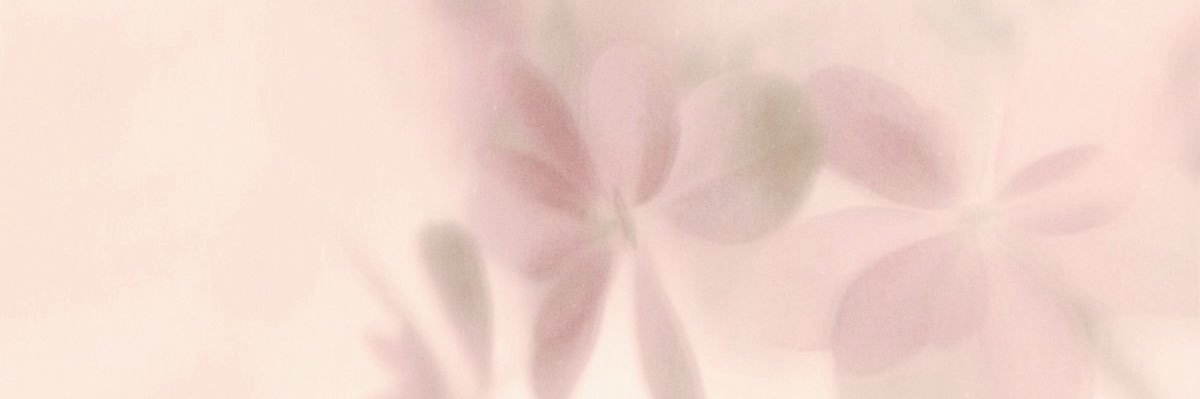 roro ₍^. .^₎'s banner