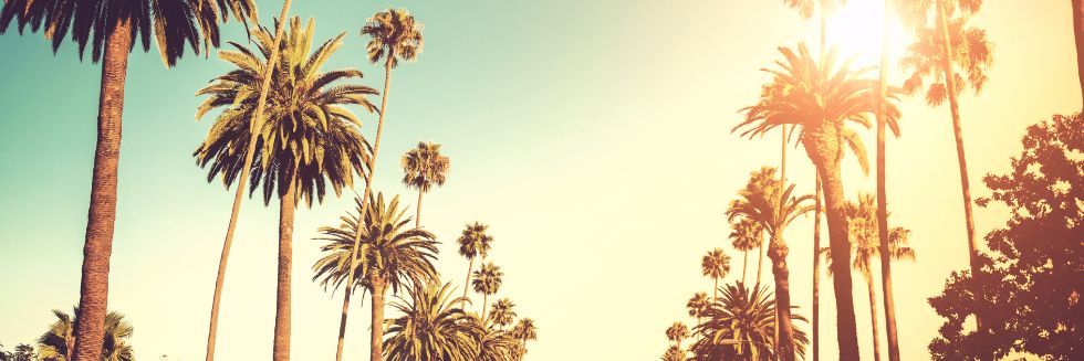 1DFriendNumber1's profile banner image
