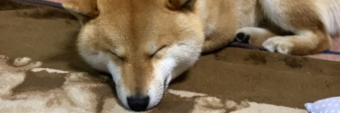 natsuki59271's profile banner image