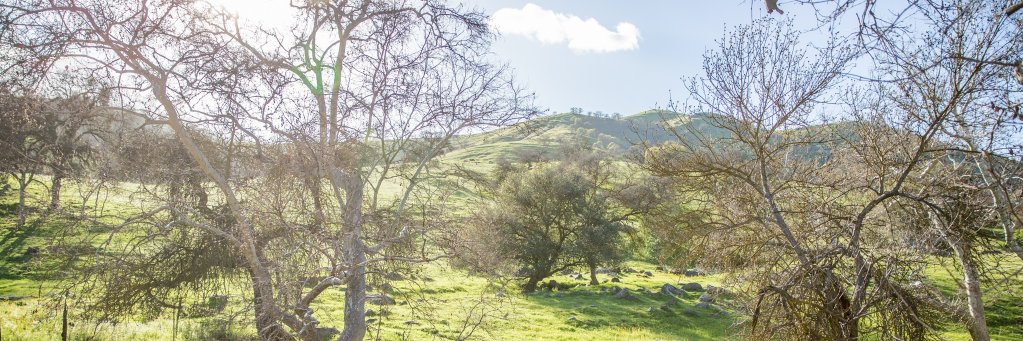 ChadCotton's profile banner image