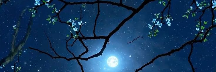burjinio's profile banner image