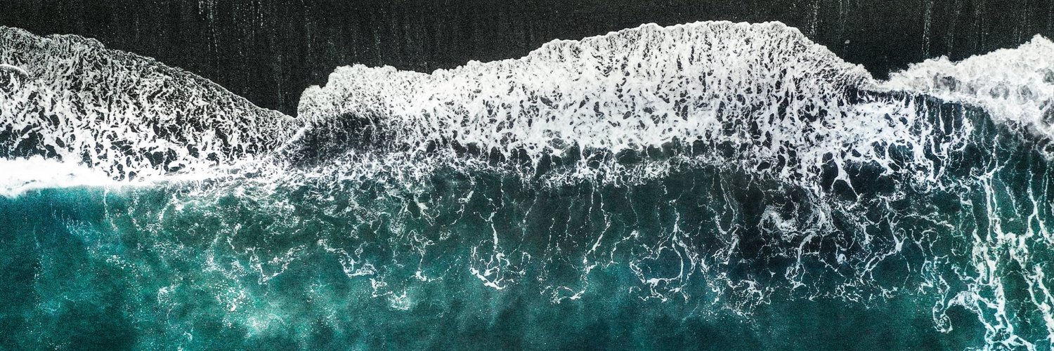 Kona Bloom's banner