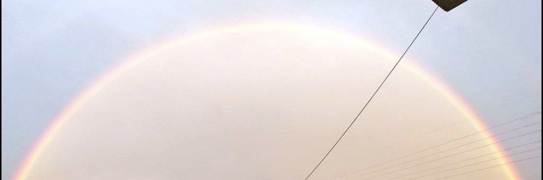 はのん 【魔王軍】うさぎ部🐇 banner