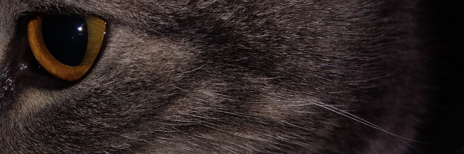 2stefkk's profile banner image
